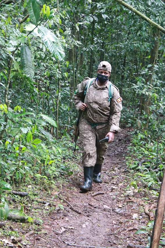 Ranger im Kibale-Nationalpark Ranger im Kibale-Nationalpark