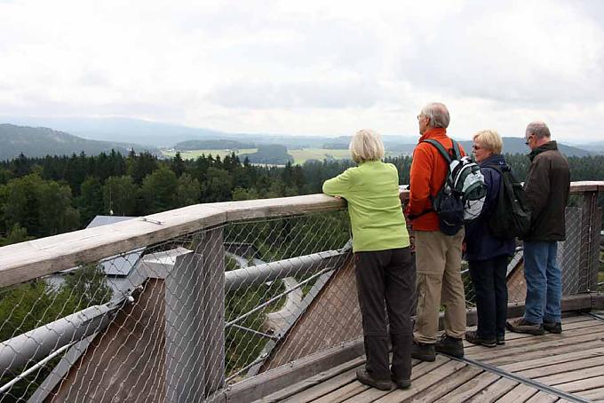 Auf dem Holzweg Auf dem Holzweg