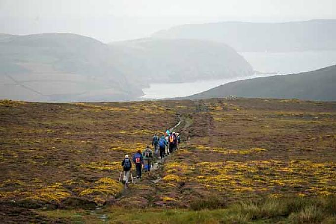 Ginster und Heidekraut verwandeln zwischen der Südspitze der Insel und Port Erin die Hänge in ein Farbenmeer. Ginster und Heidekraut verwandeln zwischen der Südspitze der Insel und Port Erin die Hänge in ein Farbenmeer.