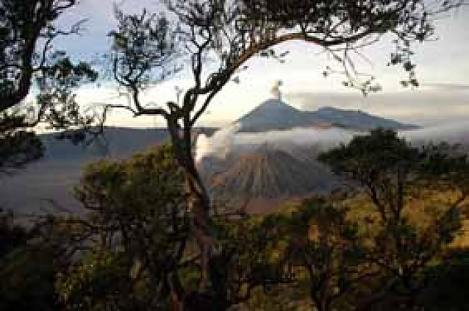 Sonnenaufgang am Mount Brom0 Sonnenaufgang am Mount Brom0