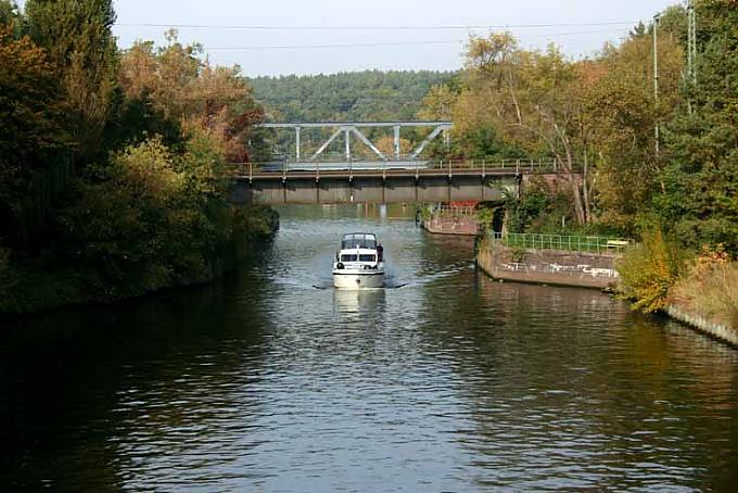 Hintergründige Gedenkplatte an einer Eiche Hintergründige Gedenkplatte an einer Eiche