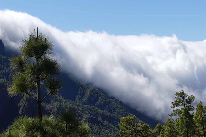 Nebelwalze am Aussichtspunkt La Cumbrecita Nebelwalze am Aussichtspunkt La Cumbrecita
