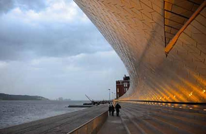 Die weiße Auster am Ufer des Tejo Die weiße Auster am Ufer des Tejo