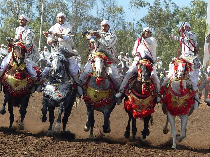Pferdefieber in Marokko Pferdefieber in Marokko