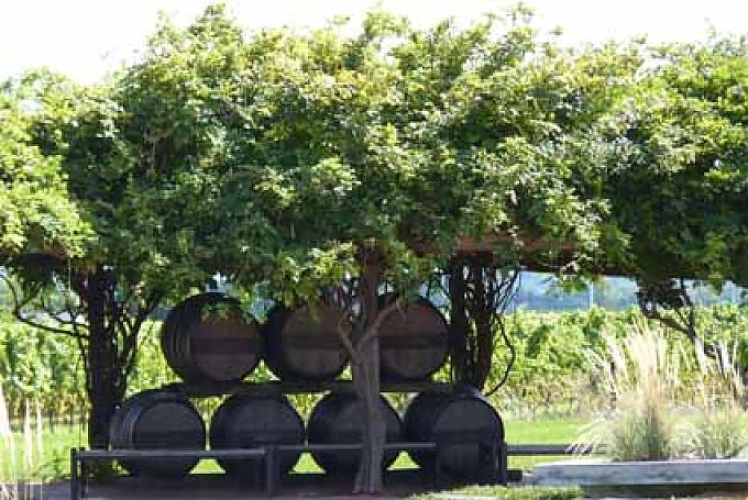 Weinfässer im Weingut Inniskillin Weinfässer im Weingut Inniskillin