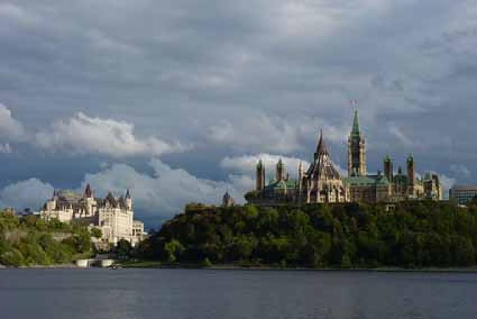 Weine, Märkte, Schokotrüffel Weine, Märkte, Schokotrüffel