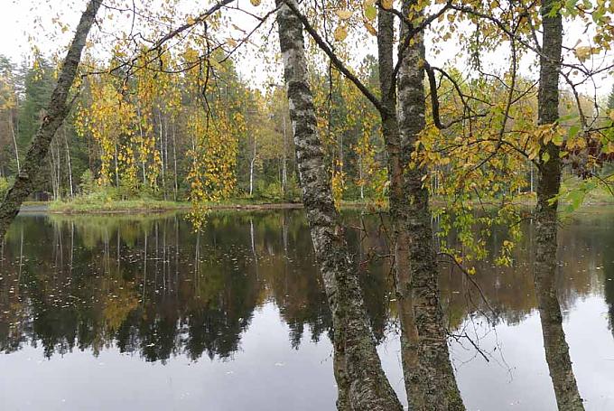 Landschaft am Fluss Swir bei Mandrogi Landschaft am Fluss Swir bei Mandrogi