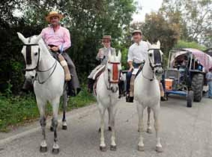Reiter während der Prozession Reiter während der Prozession