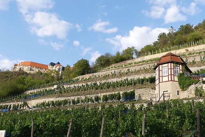 Gartenkunst und Kunstgenuss Gartenkunst und Kunstgenuss