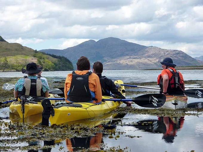 Robben, Papageitaucher und kristallklares Wasser Robben, Papageitaucher und kristallklares Wasser
