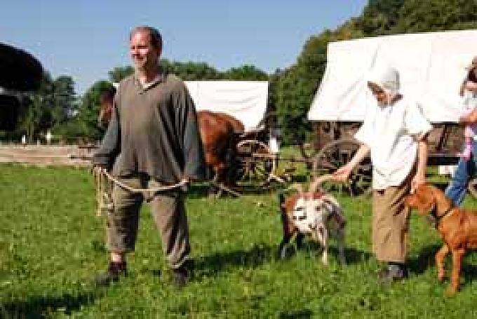 Tiere gehören zum Zug. Das Lager der Siedler am Morgen.