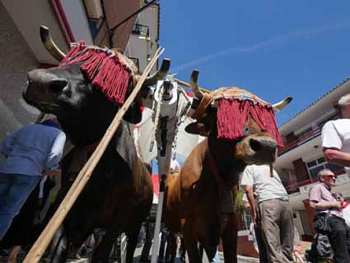 Flamenco für den Bauernheiligen Flamenco für den Bauernheiligen