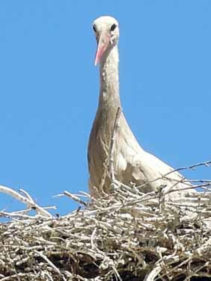 Blick aus großer Höhe. Blick aus großer Höhe.