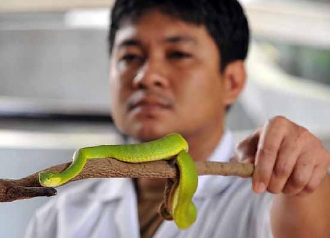 Ja, wo beißen sie denn? Ja, wo beißen sie denn?