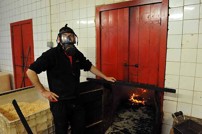 Viel Rauch um Fisch Viel Rauch um Fisch