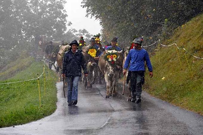 Wenn es mit Elsi bergab geht Wenn es mit Elsi bergab geht