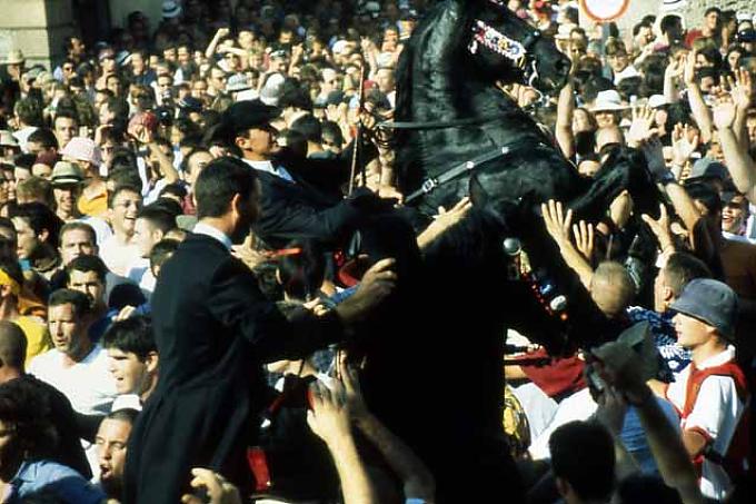 Hengste tanzen für Johannes Hengste tanzen für Johannes