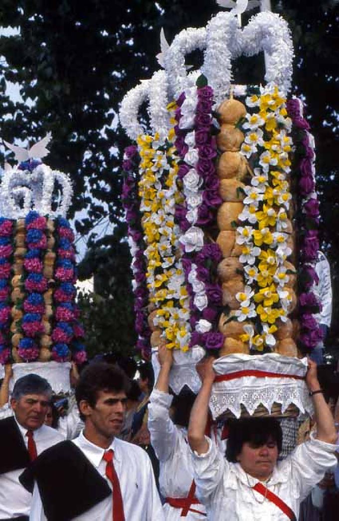Die Frauen haben schwer zu tragen Die Frauen haben schwer zu tragen