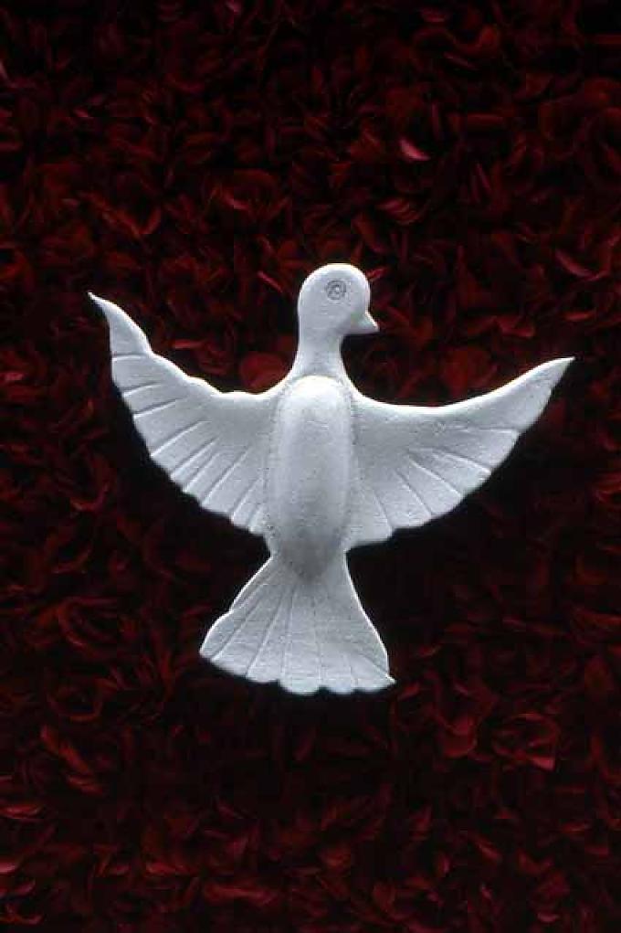 Taube zwischen roten Blumen Die Frauen haben schwer zu tragen