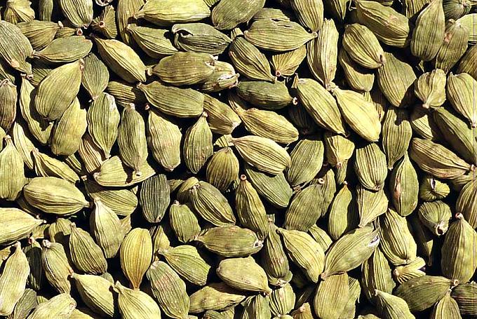 Cardamon Samenkapseln Ingwerstauden