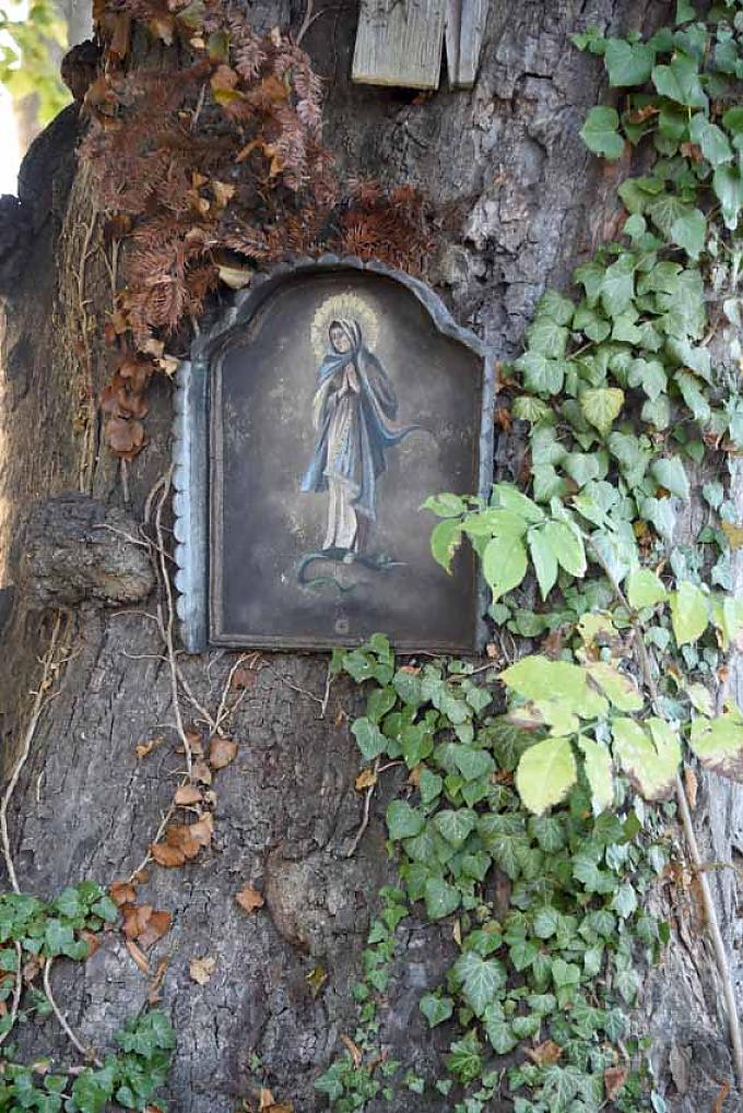 Marienlinde Marienlinde