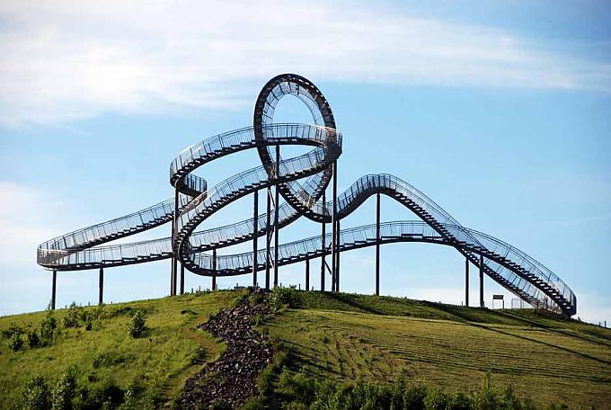 Die Tigerturtle Die Tigerturtle