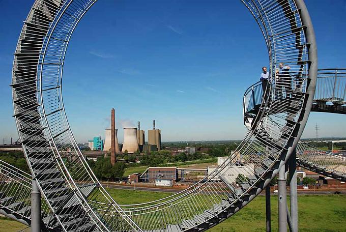 Die Tigerturtle Die Tigerturtle