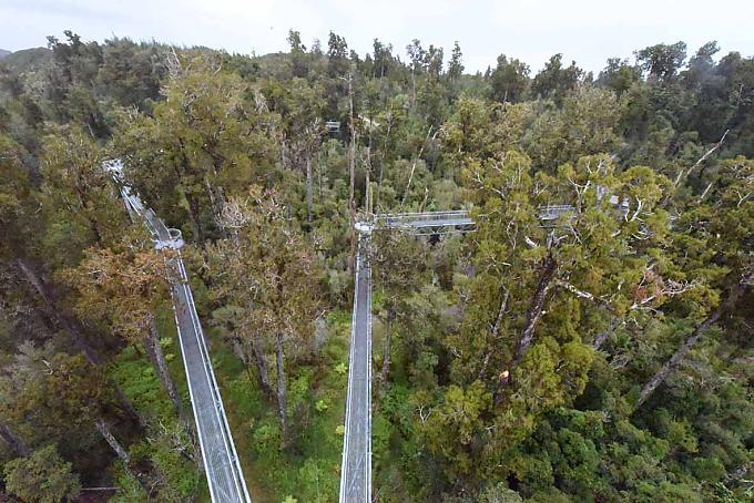 Blick von oben auf den Wald. Blick von oben auf den Wald.