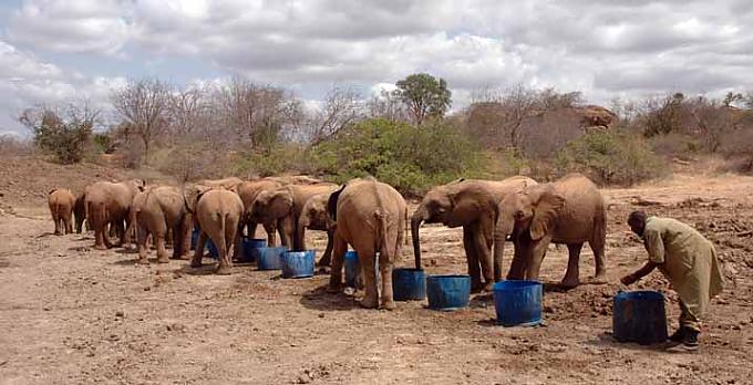 Gute Kinderstube Gute Kinderstube