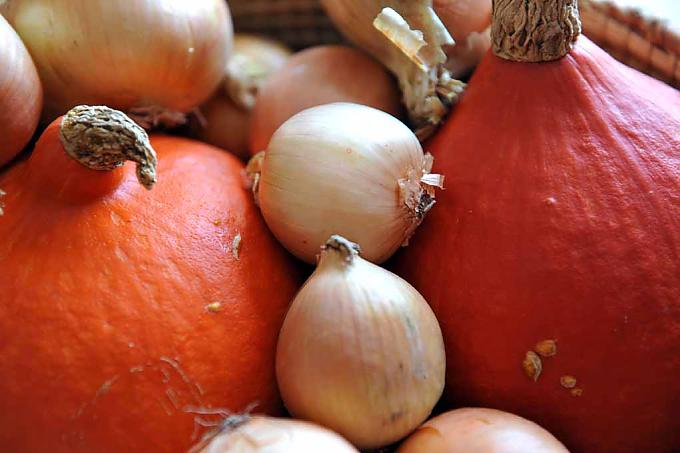 Dekoration mit Kürbissen Geschmückter Altar.