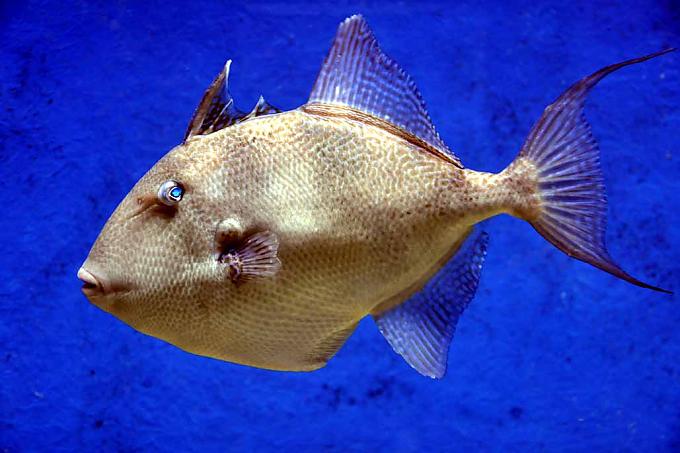 Buntes Leben inmitten grauer Steine Buntes Leben inmitten grauer Steine