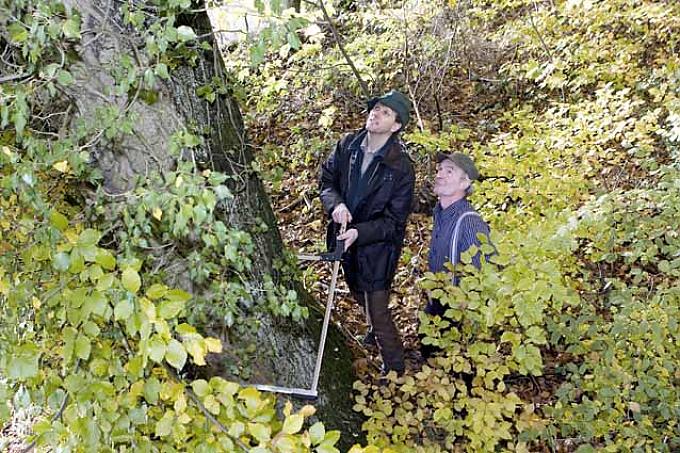 Waldbesitzer Hermann Lammers und Förster Dr. Georg Berkemeier Waldbesitzer Hermann Lammers und Förster Dr. Georg Berkemeier