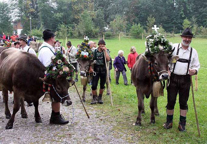 Das Alpvieh lässt die Erde beben Das Alpvieh lässt die Erde beben