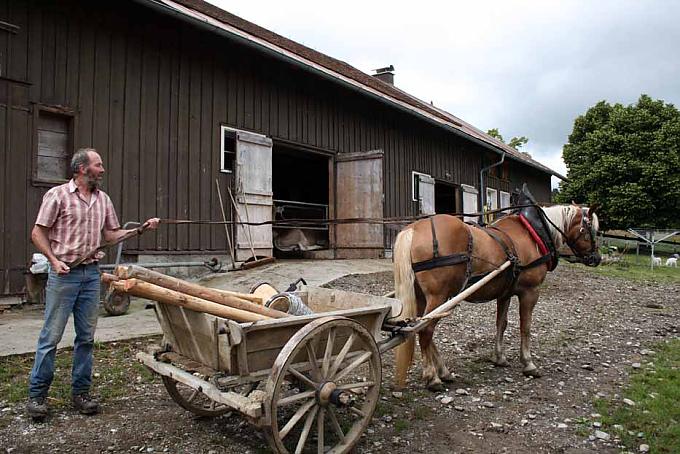 Auf dem Weg zum Pfählen Auf dem Weg zum Pfählen