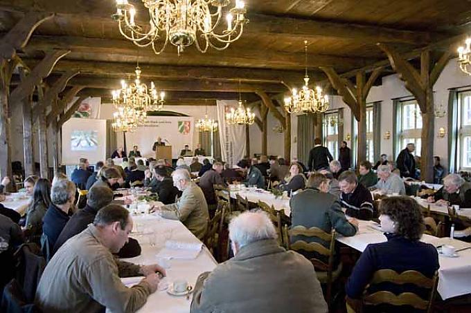 Versteigerung Waldarbeiter beim Fällen einer Eiche