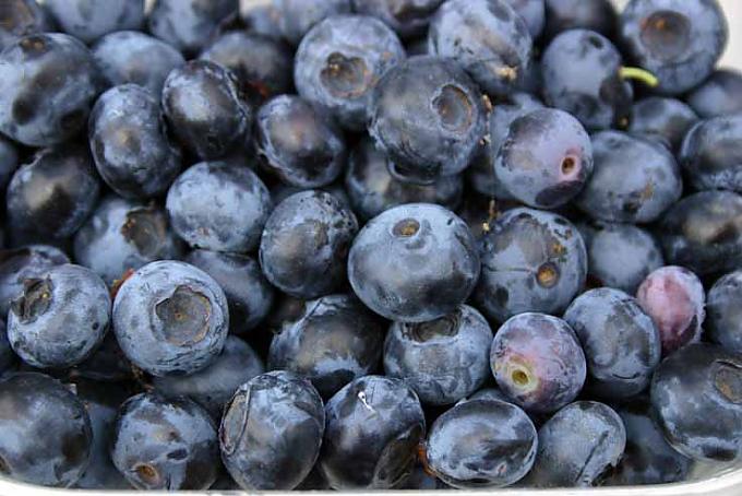 Das blaue Wunder Das blaue Wunder