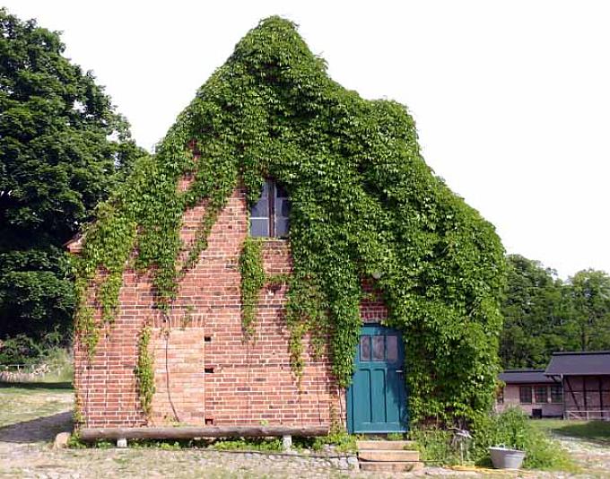 Das gläserne Dorf Das gläserne Dorf