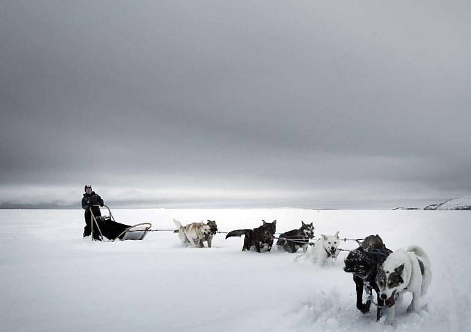 „Kreuzen Sie eine Harley mit einer Pelzjacke, und Sie haben einen schnellen Schlittenhund.“ „Kreuzen Sie eine Harley mit einer Pelzjacke, und Sie haben einen schnellen Schlittenhund.“