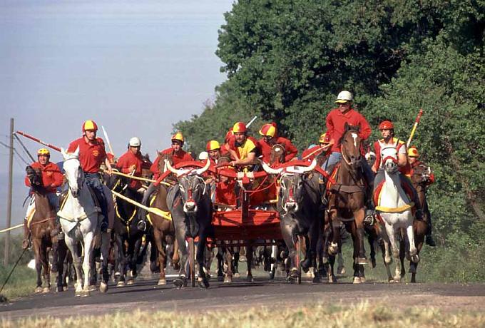 Ben Hur auf Ochsenart Ben Hur auf Ochsenart