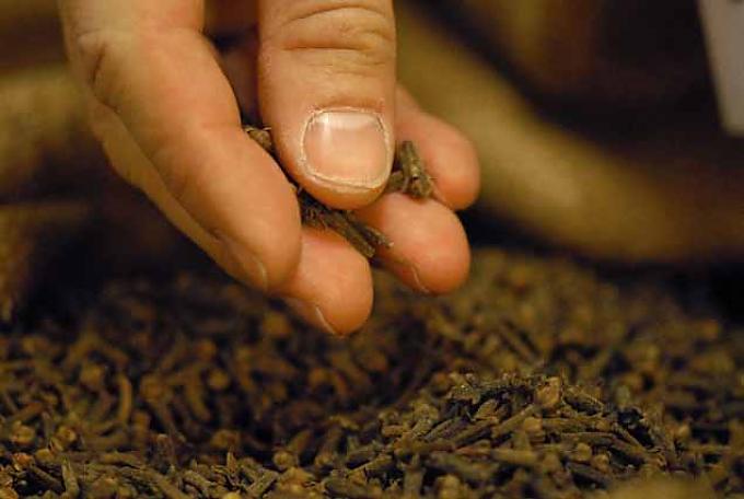 Weltreise für die Nase Weltreise für die Nase