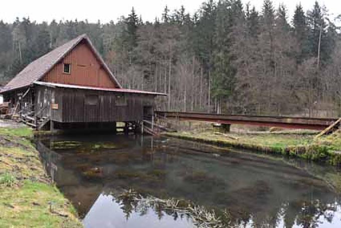 Mühlteich für die Stämme Ein Fichtenstamm wird auf dem Wasser so in Position gebracht, dass er von der ins Sägewerk hinaufführenden Zahnradschiene erfasst und der Stamm mit Hilfe der Wasserkraft in das Sägewerk transportiert wird.