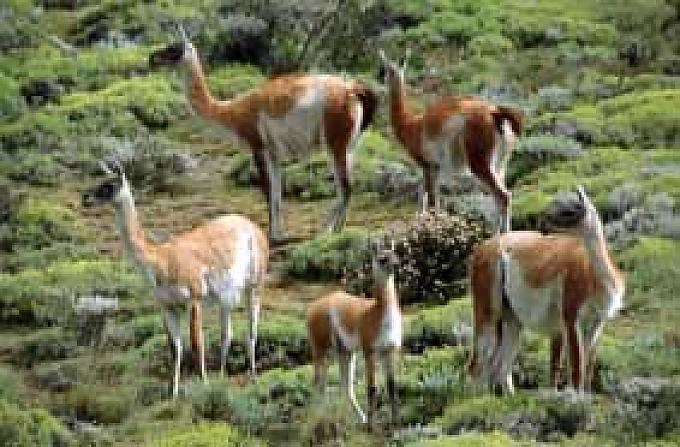 Ein schmaler Streifen breiter Vielfalt Ein schmaler Streifen breiter Vielfalt