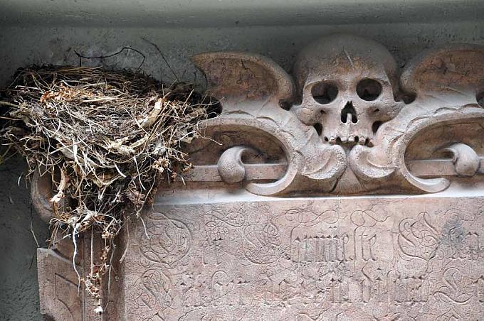 Ausflug in die Unterwelt Ausflug in die Unterwelt