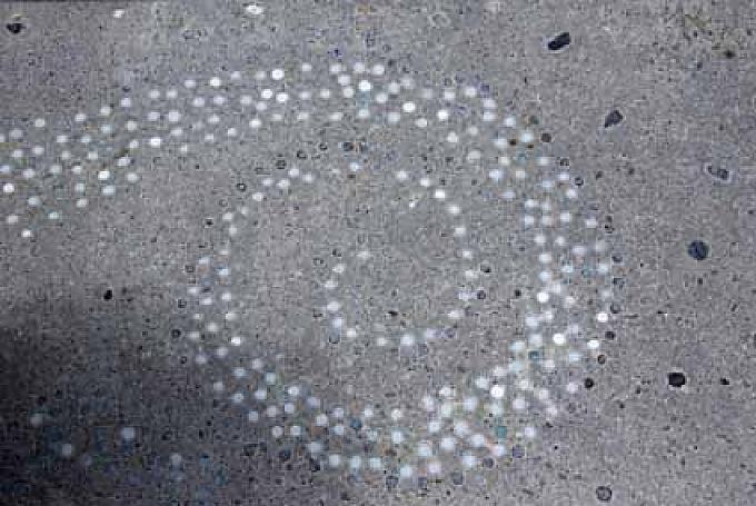 Ein Koru repräsentiert die Spirale eines jungen Farnwedels Ein Koru repräsentiert die Spirale eines jungen Farnwedels