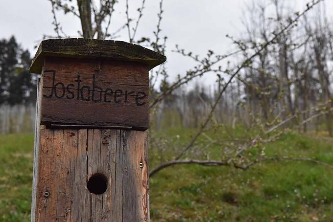 Auf 400 Metern haben die Halters hier 25 kleine Info-Stationen angelegt. Auf 400 Metern haben die Halters hier 25 kleine Info-Stationen angelegt.