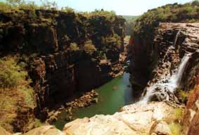 In der Heimat der Schöpferschlangen In der Heimat der Schöpferschlangen
