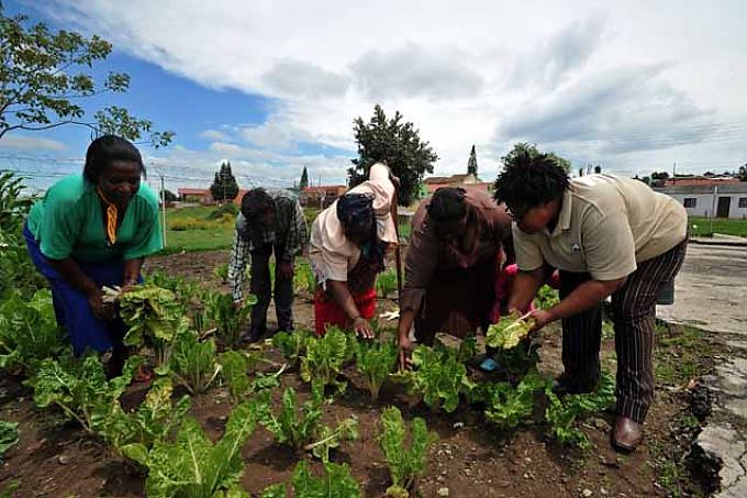 Die Damen mit dem grünen Daumen Die Damen mit dem grünen Daumen