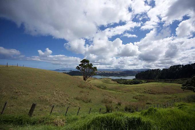 Der Weg zur Cathedral Cove bietet herrliche Ausblicke. Der Weg zur Cathedral Cove bietet herrliche Ausblicke.