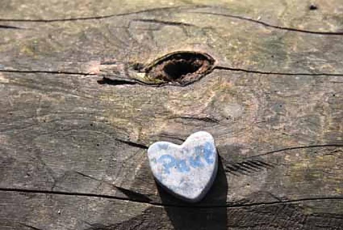 Herz auf einem Baumstamm. Herz auf einem Baumstamm.