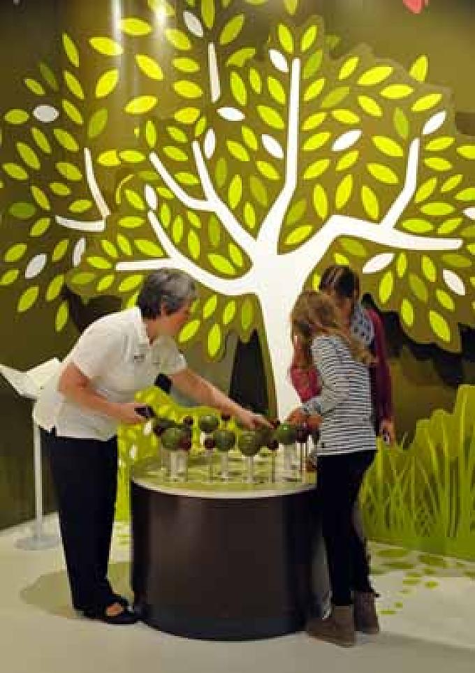 Besucher im Museum Besucher im Museum